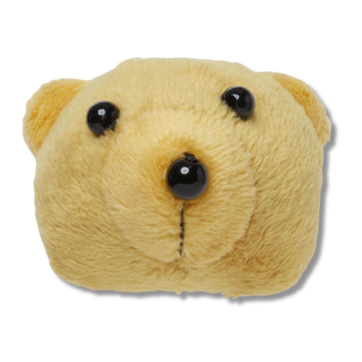 Teddy Bear Face