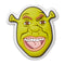 Shrek 1 Jibbitz