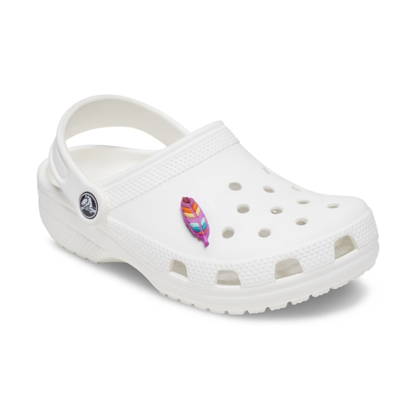 Jibbitz Gitd Desert Feather Unisex