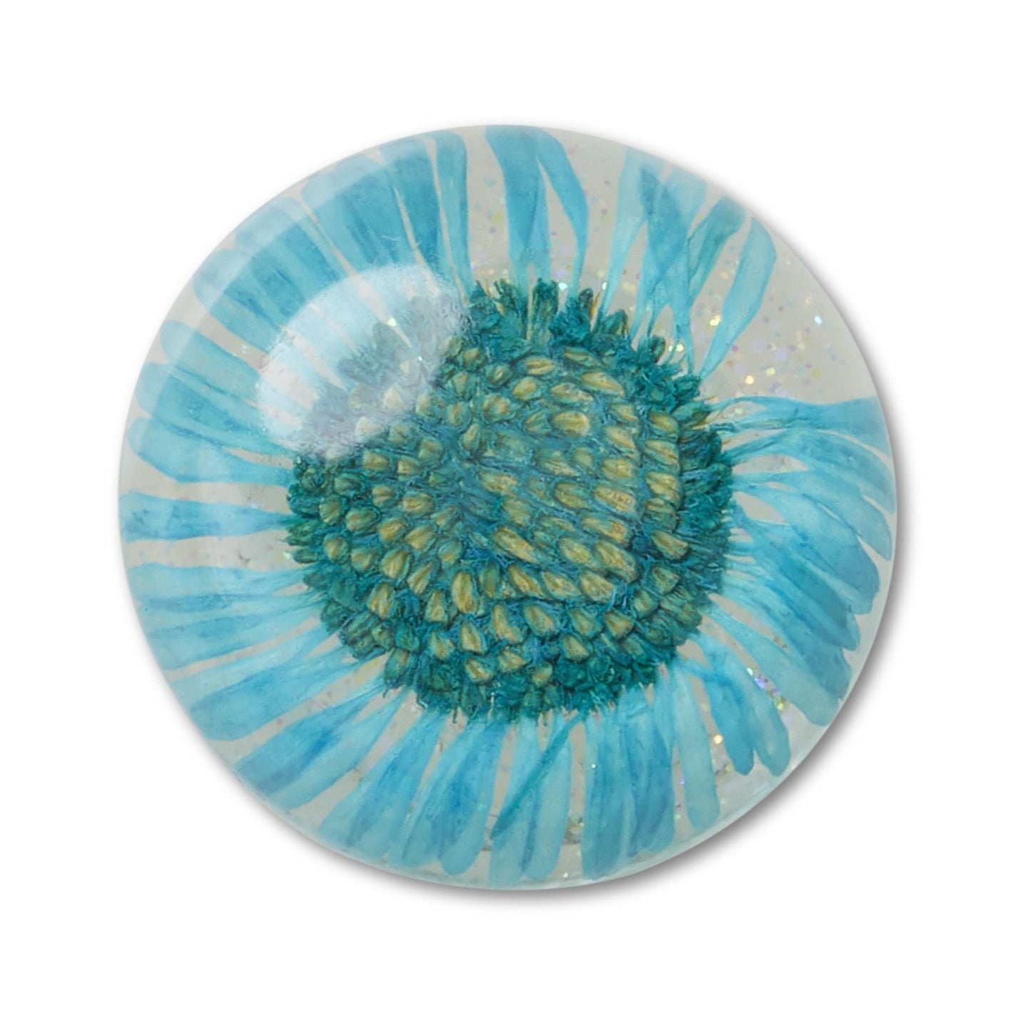 Jibbitz Encapsulated Blue Daisy Unisex