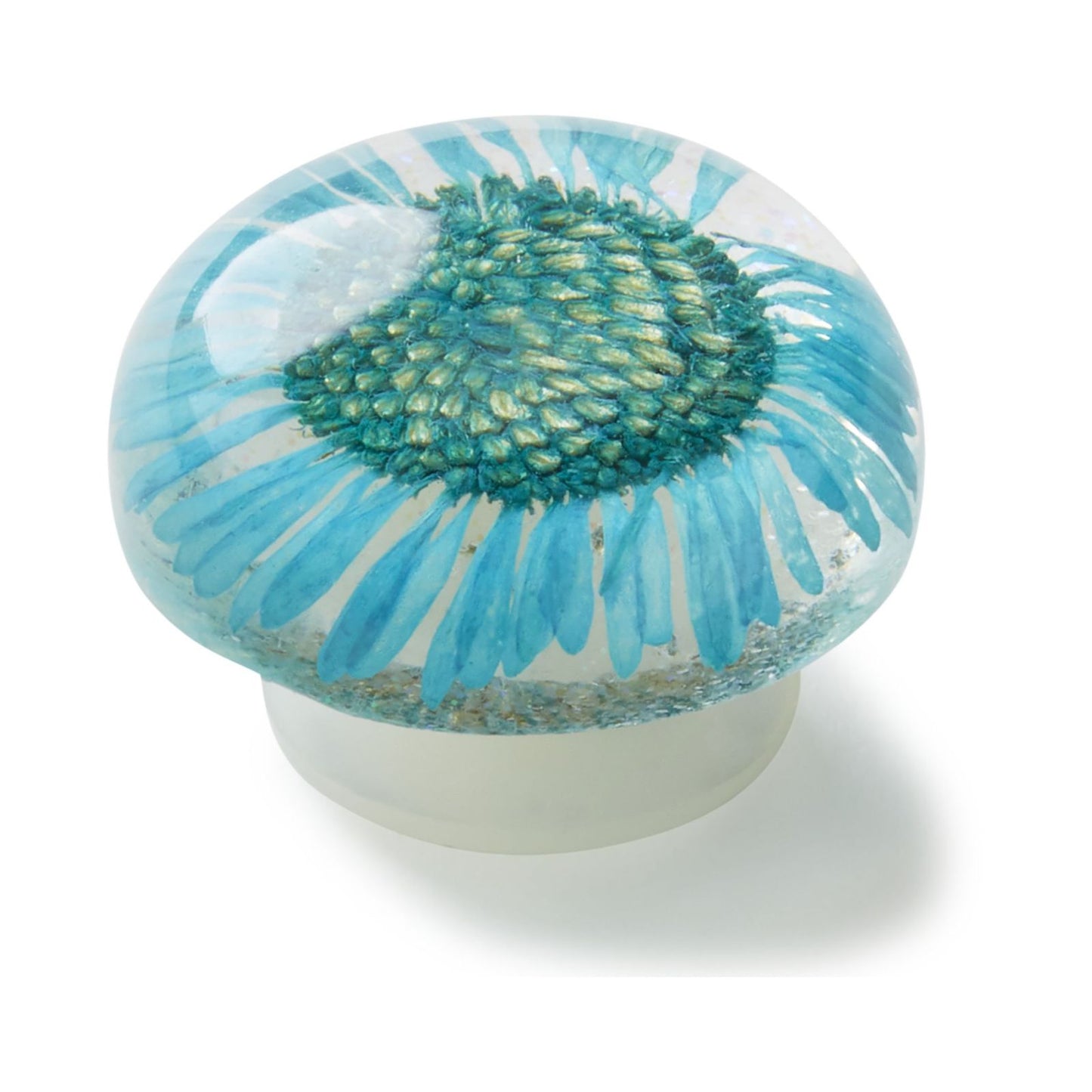 Jibbitz Encapsulated Blue Daisy Unisex