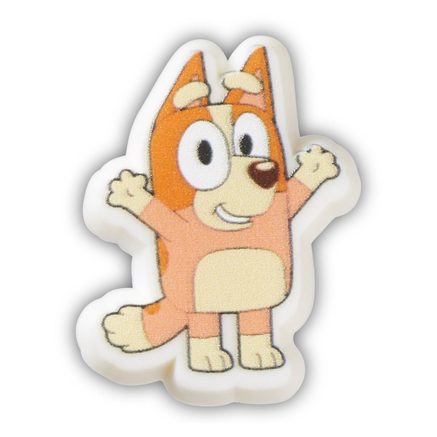 Bingo Unisex Multi Jibbitz