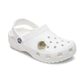 Jibbitz Natural Seashell Unisex Multi