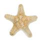 Jibbitz Natural Star Fish Unisex Multi