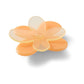 Blooming Orange Flower