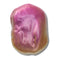 Jibbitz Baroque Pearl 1 Unisex Multi