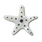 Silver Starfish Unisex Multi Jibbitz