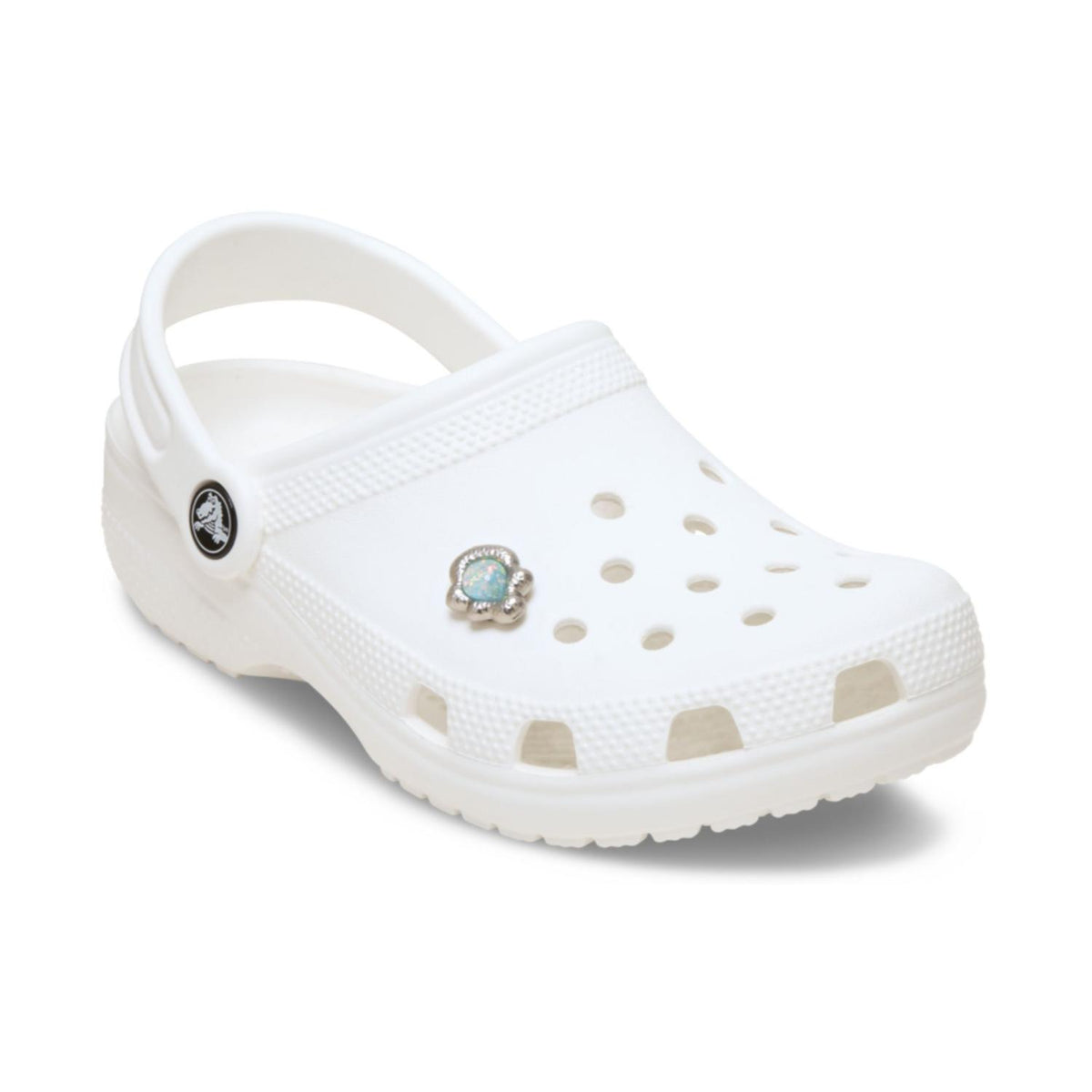 Opalescent Encrusted Smt Gem Jibbitz