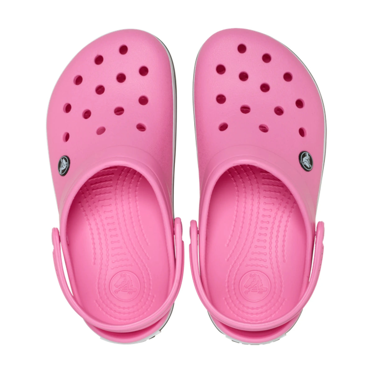 Crocband Plem