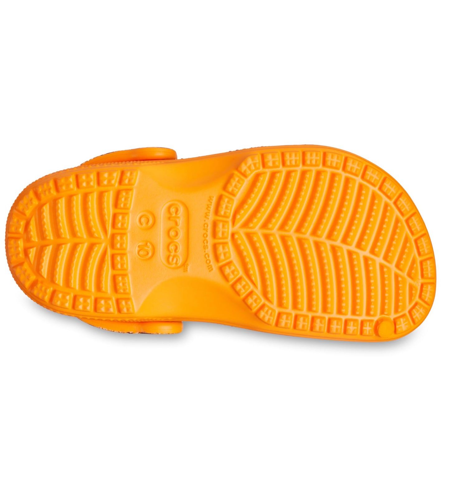 Jurassic World Classic Clog Niños Pequeños