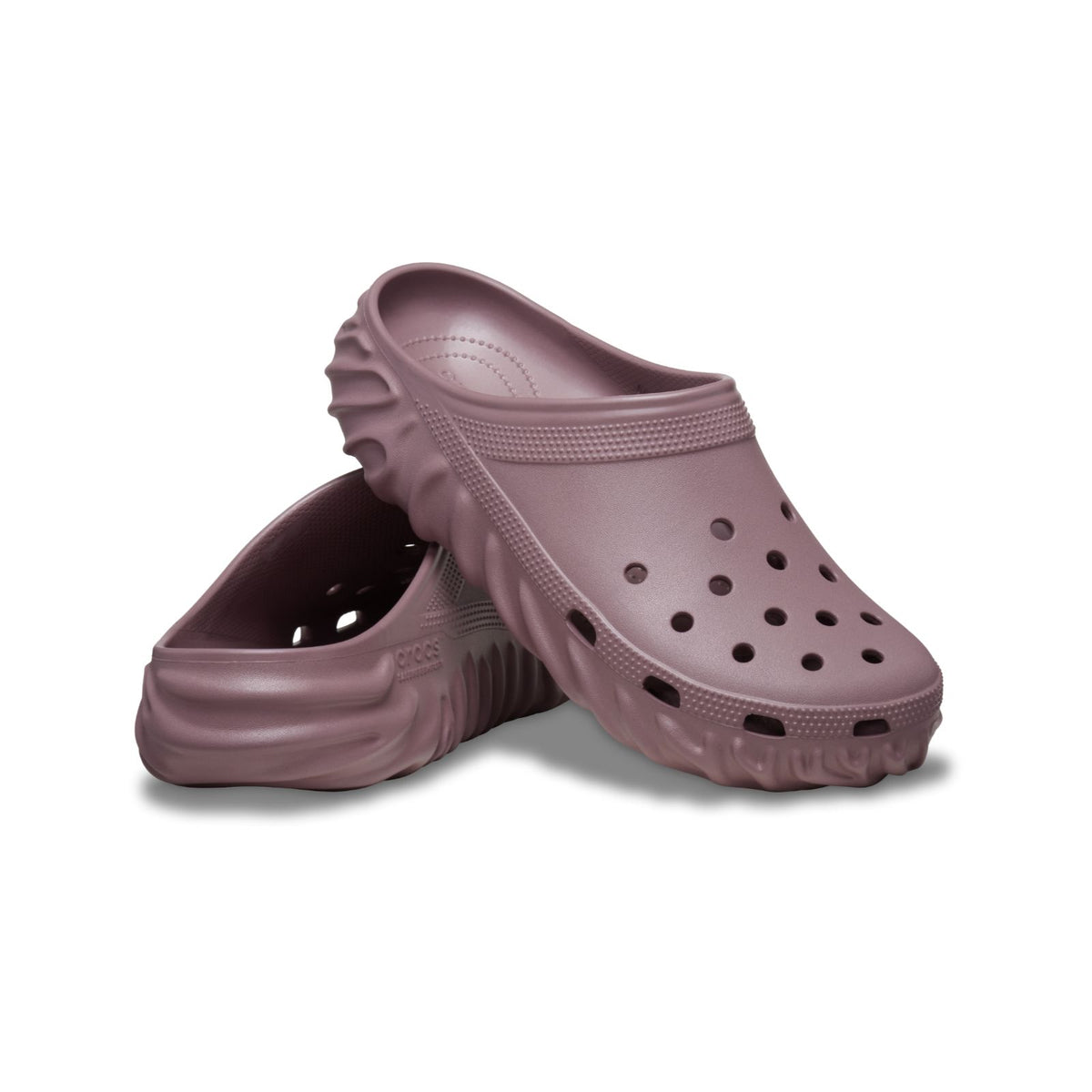 Salehebemburyxthepollexclog Mta