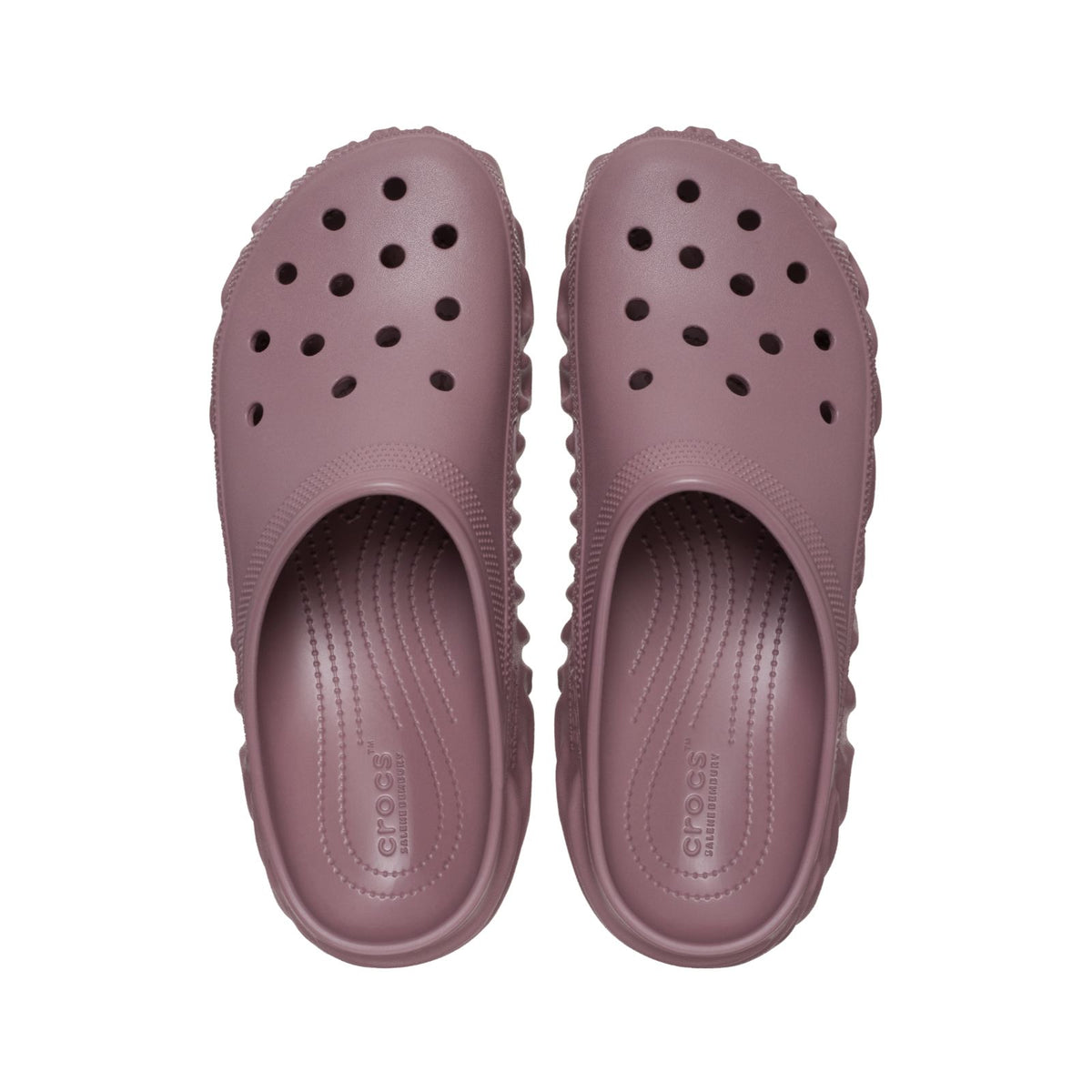 Salehebemburyxthepollexclog Mta